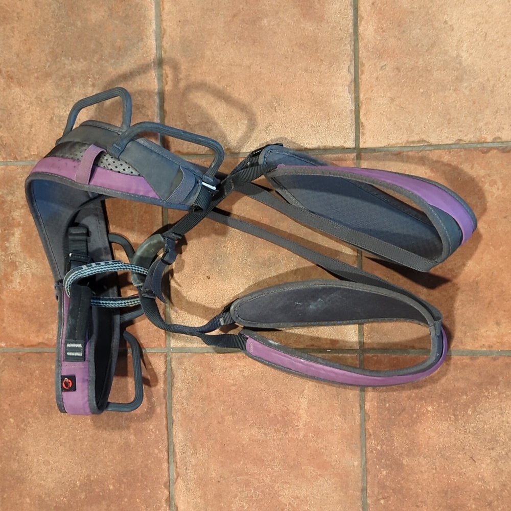 Mammut climbing harness